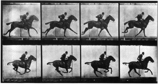 Edward Muybridge estudo de movimento 1878 Fotografia: A linha do tempo