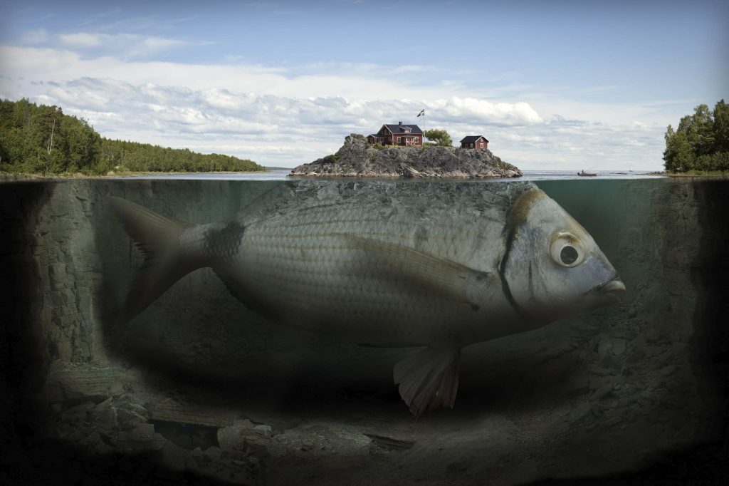 Erik Johansson - Arte Surreal