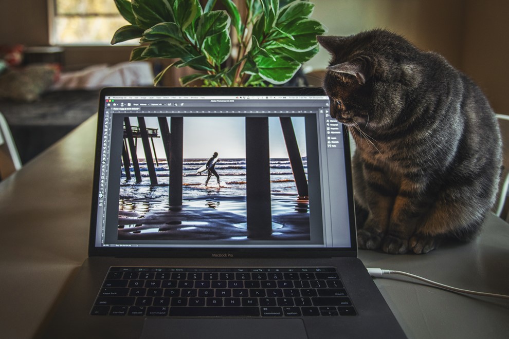 Curso-Completo-Adobe-Photoshop-do-Zero-para-Iniciantes-Amadores-x Curso-Completo-Adobe-Photoshop-do-Zero-para-Iniciantes-Amadores-x