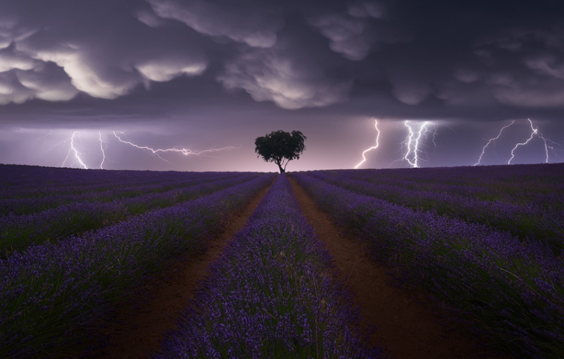 Fotografia dramática